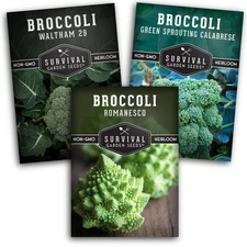 Broccoli Seeds for Planting – 3 Variety Pack – Calabrese, Romanesco, Waltham ...