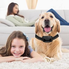 USB Rechargeable Smart Anti-Bark Dog Collar with Adjustable Beep  Vibration