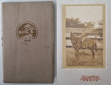 Tolles CDV Foto - japanischer Soldat mit S&auml;bel zu Pferde - Japan - 1.WK 1914/18