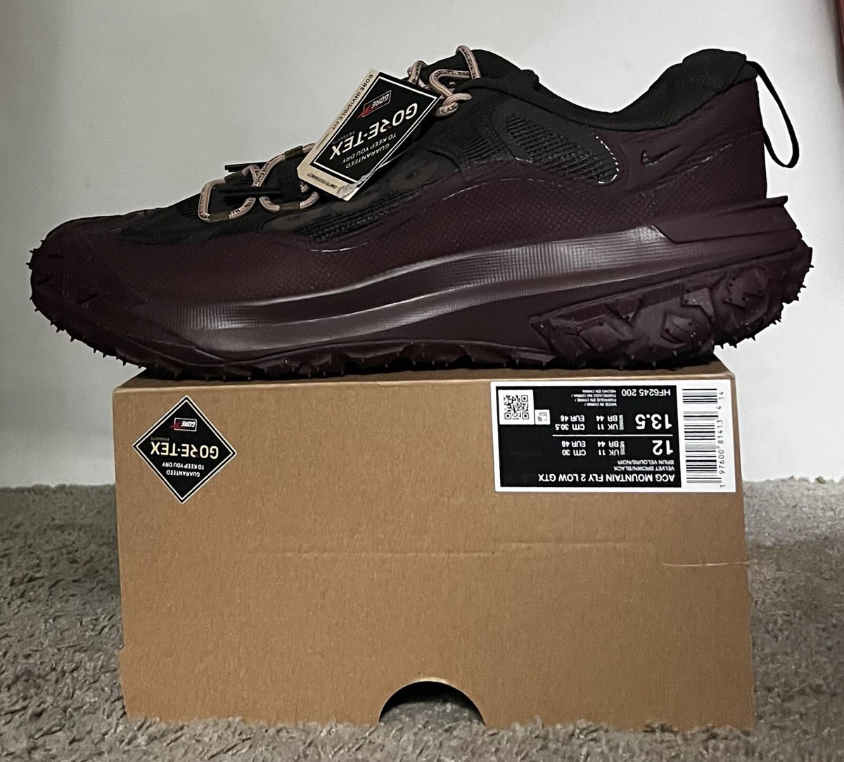 Size 12M- ACG Mountain Fly 2 Low GTX Velvet Brown/Black NBY