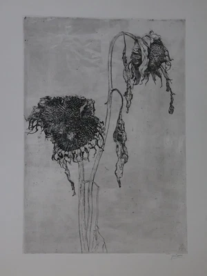 Jan Boon (1872-1975) Künstlergrafik Radierung Stillleben Sonnenblumen (809) - Bild 1 von 4