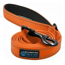 NEW 6 FT x 1" Wide Nylon Reflective Dog Leash Orange