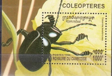 W CAMBODIA 1378 INSECTS