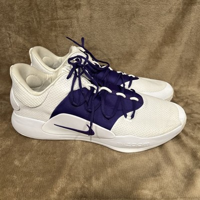 Nike Hyper Dunk X Low TB Promo Purple and White Basketball Shoes: Size 18