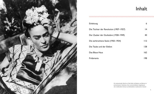 Chiara Pasqualetti Johnson / Pasqualetti Johnson, Chiara/Frida ...9788863126778 - Picture 2 of 12