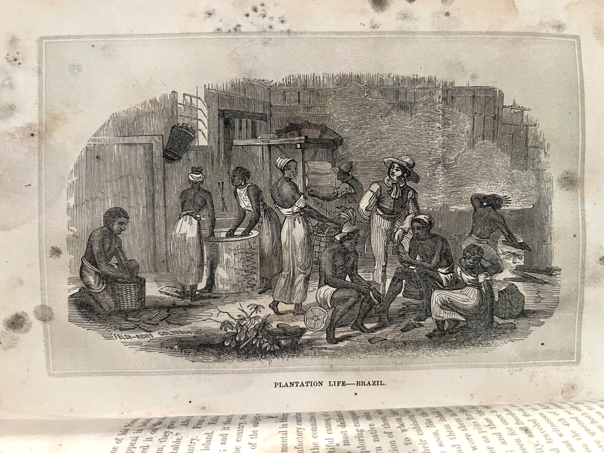 〈洋書〉奴隷制度 Slavery ／デヴィッド・ターリー 著 著 Slavery ／デヴィッド・ターリー 〈洋書〉奴隷制度