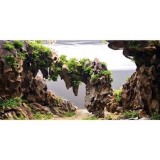 36x24 in Viewing Stone Aquarium Backdrop Riverbed Fish Tank Background