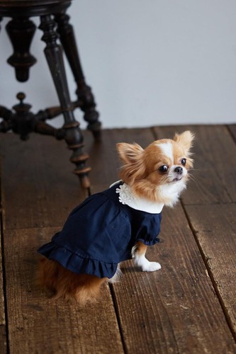 Cute dog clothes for small dogs Handmade Craft Book Japan - Picture 8 of 12