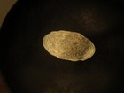Picture 5 of 10
