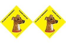 In Case of Emergency Please Save My Greyhound or Greyhounds plural Sign CHOOSE