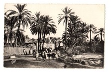 Algeria Biskra Marabout of Sidi Lassen