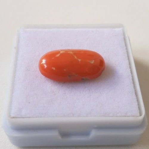 SALE!!! 1'Piece 100%Natural Japanese coral cabochon,Mediterranean Loose gemstone - Picture 5 of 6