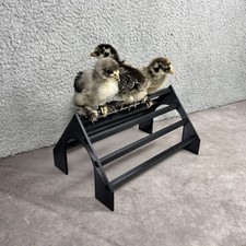 Chicken Perch Stand Training Roost Bar for Chicks Easy Wash Farm Homestead Hatch