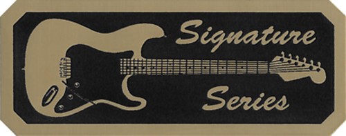 Stevie Ray Vaughan Framed Black wood Reproduction Signature Gold LP Display - Picture 4 of 5