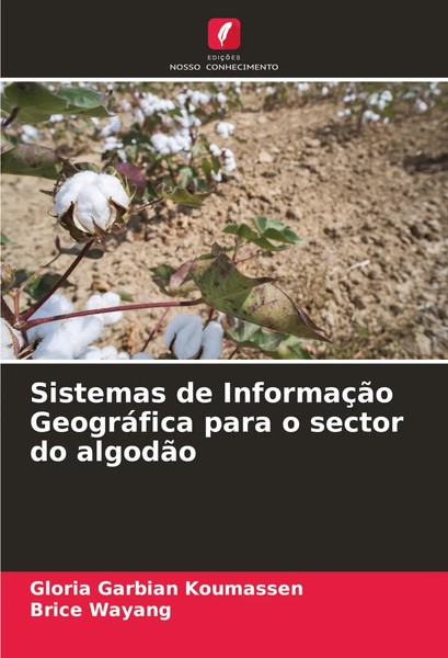 Gloria Garbian Koumassen (U. A.) | Sistemas De InformaçãO GeográFica Para O...-image