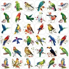 Hotop 600 Pcs Bird Stickers for Kids Bird Photos Stickers Animals Bird 