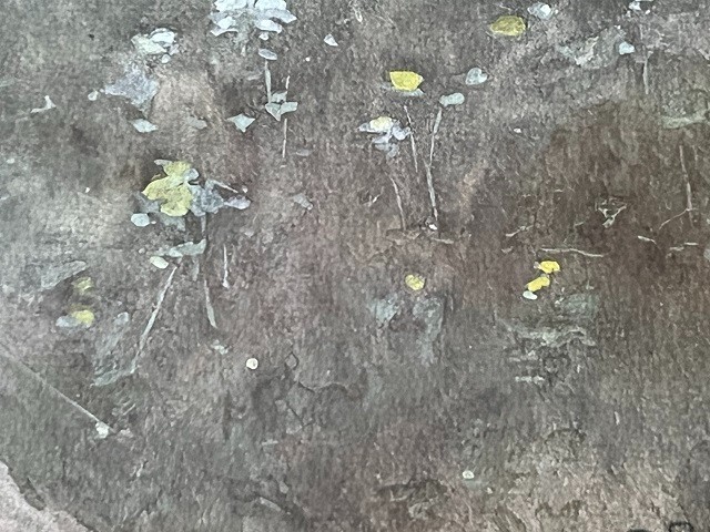 Picture 10 of 14