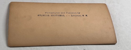 Stereoview Photo As We Enter Tower Grove Park St Louis MO - 第 3/4 張圖片