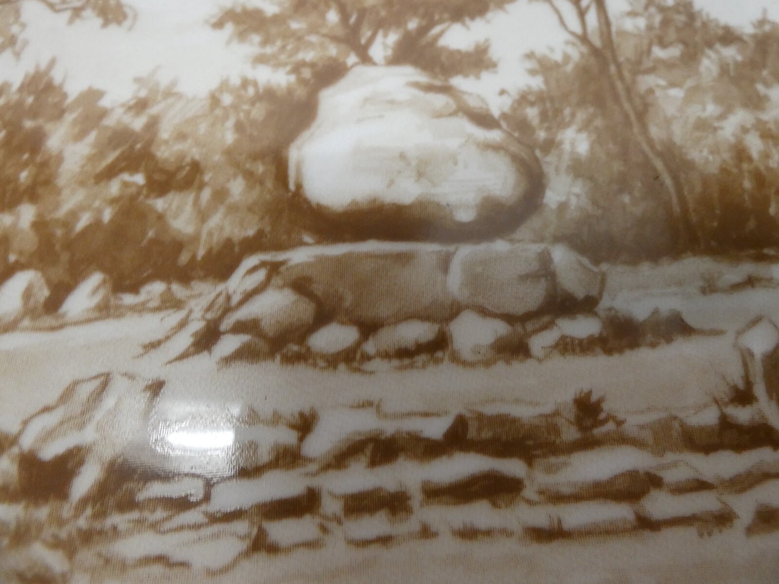 Picture 3 of 9