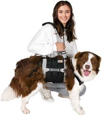 Dog Lift Harness Body Sling Support for Large Dogs