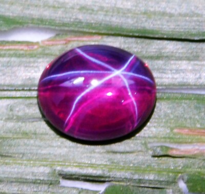 17.15 Ct Natural Red Star Ruby Cabochon Cut CERTIFIED Loose Gemstone 6 Rays