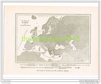 KARTE DER RASSEN EUROPAS, DRUCK um 1890
