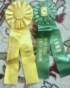 RARE VINTAGE LOT OF 10 HORSE SHOW RIBBONS G