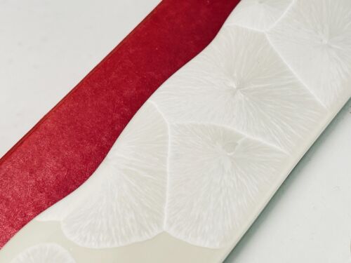 Beach Nautical Coral Seashell 4" x 6" 4x6 Photograph Photo Picture Frame -NEW - Picture 3 of 9