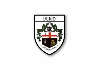 Aufkleber sticker autoaufkleber auto wappen schild flagge stadt derry
