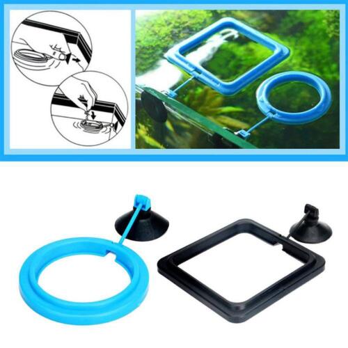 Fish Tank Feeding Circle Station Floating Food Feeder Prevent Scattering D V8K9
