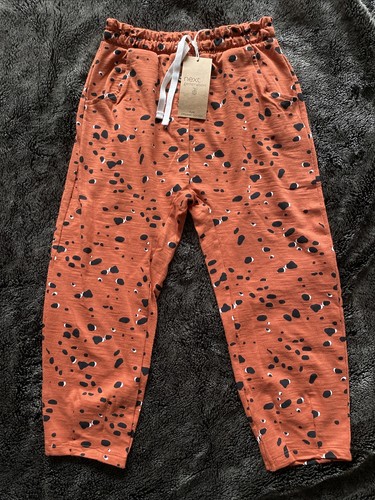 Girls BNWT NEXT 5-6 Years Animal 