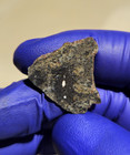 NWA 13636 Eucrite Unbrecciated Meteorite 1.476g Full Slice Rare w/ COA  — photo 2