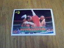 BUSHWHACKERS BUTCH AND LUKE 1990 CLASSIC WRESTLING CARD # 47