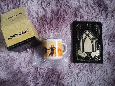 Illumicrate Fourth Wing Iron Flame Onyx Storm mug Fairyloot Bullet Journal 