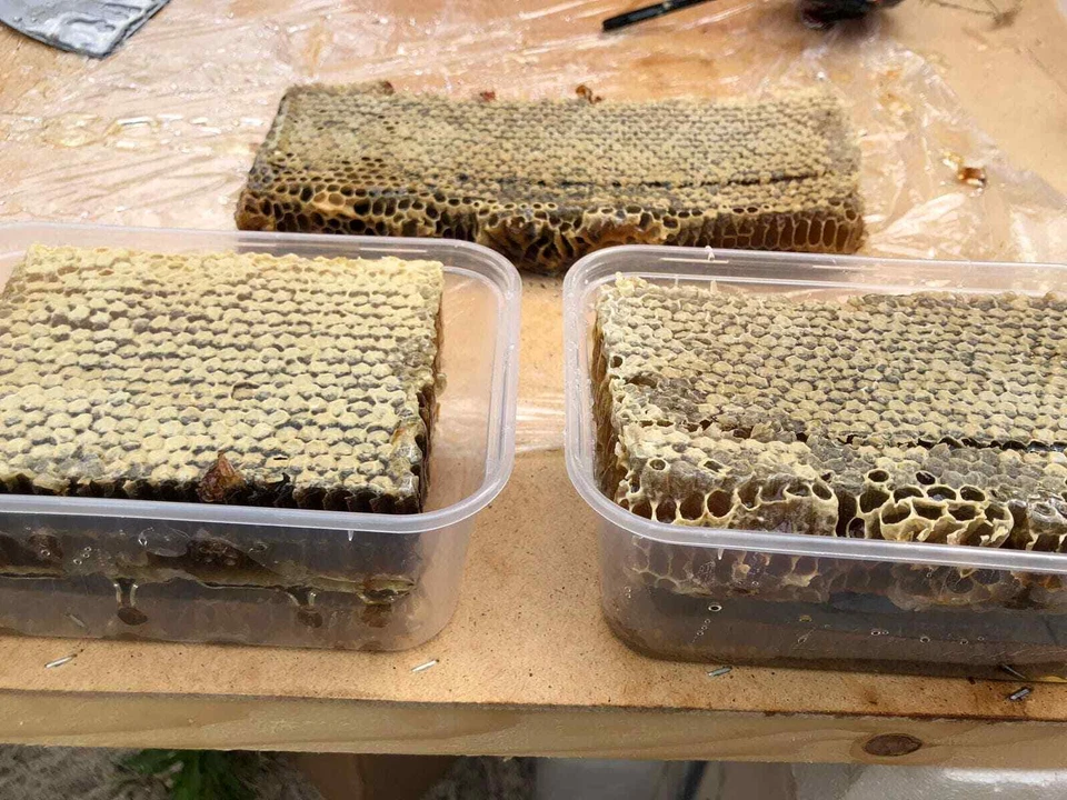 Raw Honeycomb 1000 Grams/ box , 2025 New Harvest Organic Honeycomb - Image 2 of 4