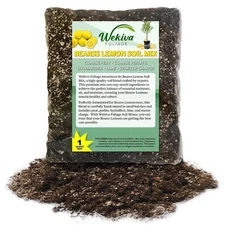 Bearss Lemon Tree Growing Soil Mix – Custom Soil Blend