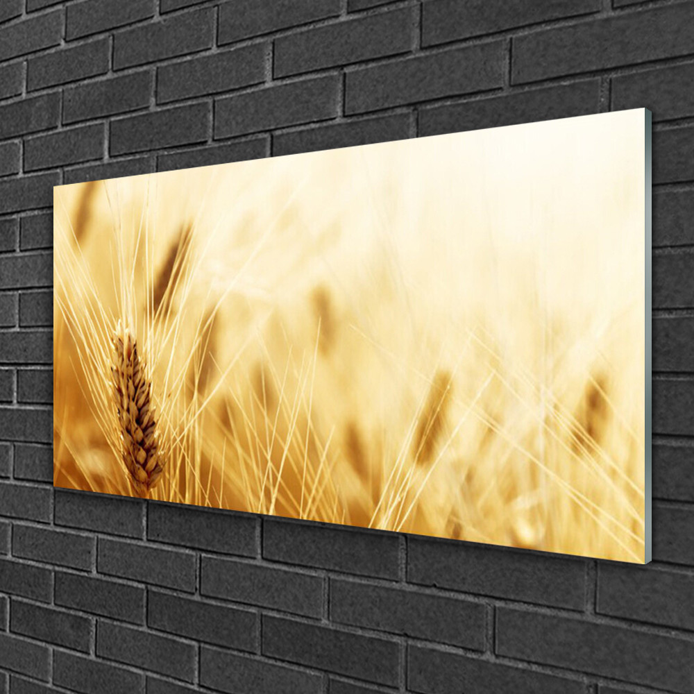 Tableau sur verre décoration murale Floral Blé 100x50 image impression salon