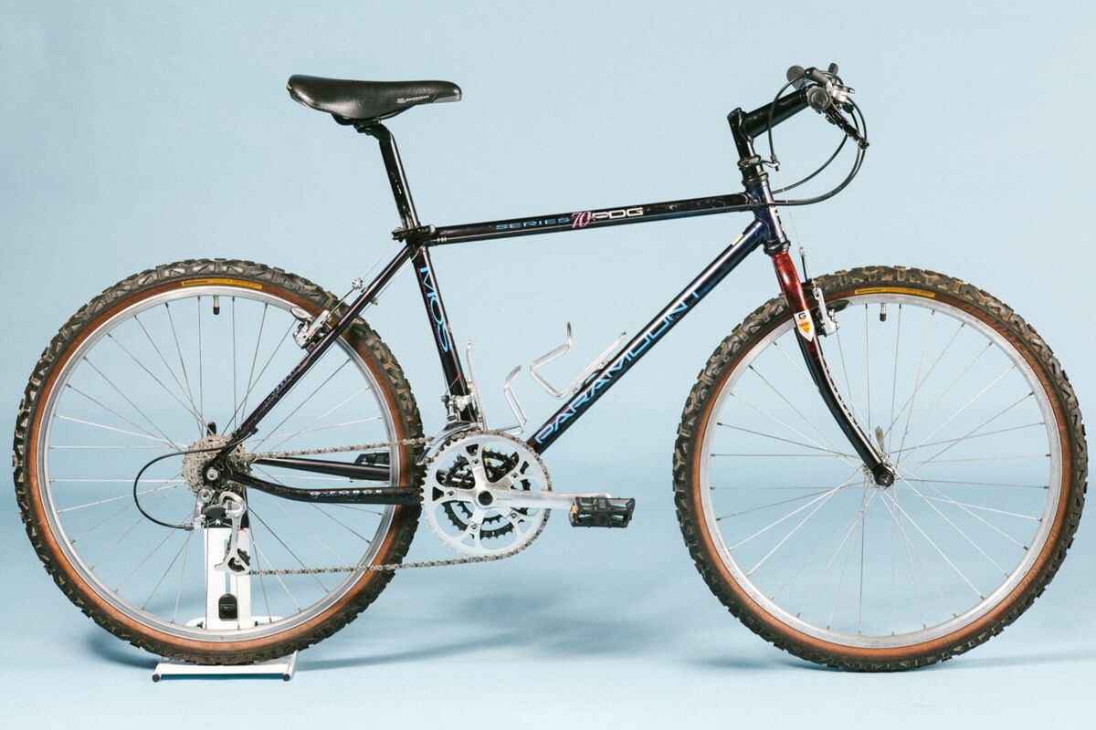 Schwinn Paramount 70 PDG 16 Schwinn Paramount 70 PDG 16