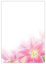 25 Blatt Briefpapier Blumen-5052 A4 Format Motivpapier wundersch&ouml;ne rosa Lilien