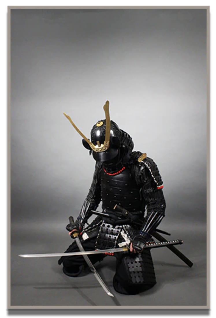 Streetwear Warrior Canvas Print Online Japanese Warrior Art, Robot