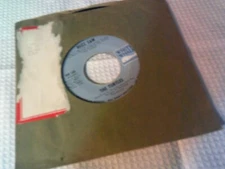 THE TURTLES YOU SHOWED ME / BUZZ SAW 45 RPM RECORD