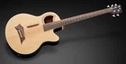 Rockbass Alien Standard, 5-string, Fretless with Lines - NTS "B-Stock"
