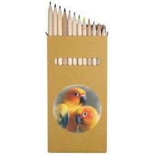 12 x 'Sun Conure Parrot Couple' Long Colour Pencils (PE00092095)