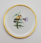 Vintage Audubon Goldfinch Bird Thistle Plate 1960s Hutschenreuther Germany Pasco — photo 3
