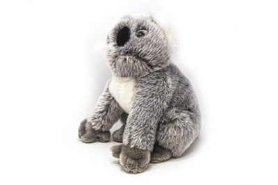 Nature Planet - Kuscheltier - Plan L - Koala 22 cm
