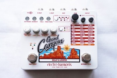 Electro-Harmonix Grand Canyon Delay Looper Pedal 12 Effekttypen gebraucht
