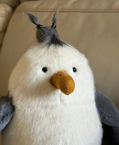 Jellycat CHIP SEAGULL Soft Plush FREE DUST BAG Fun Stuffed Ocean Sea Bird