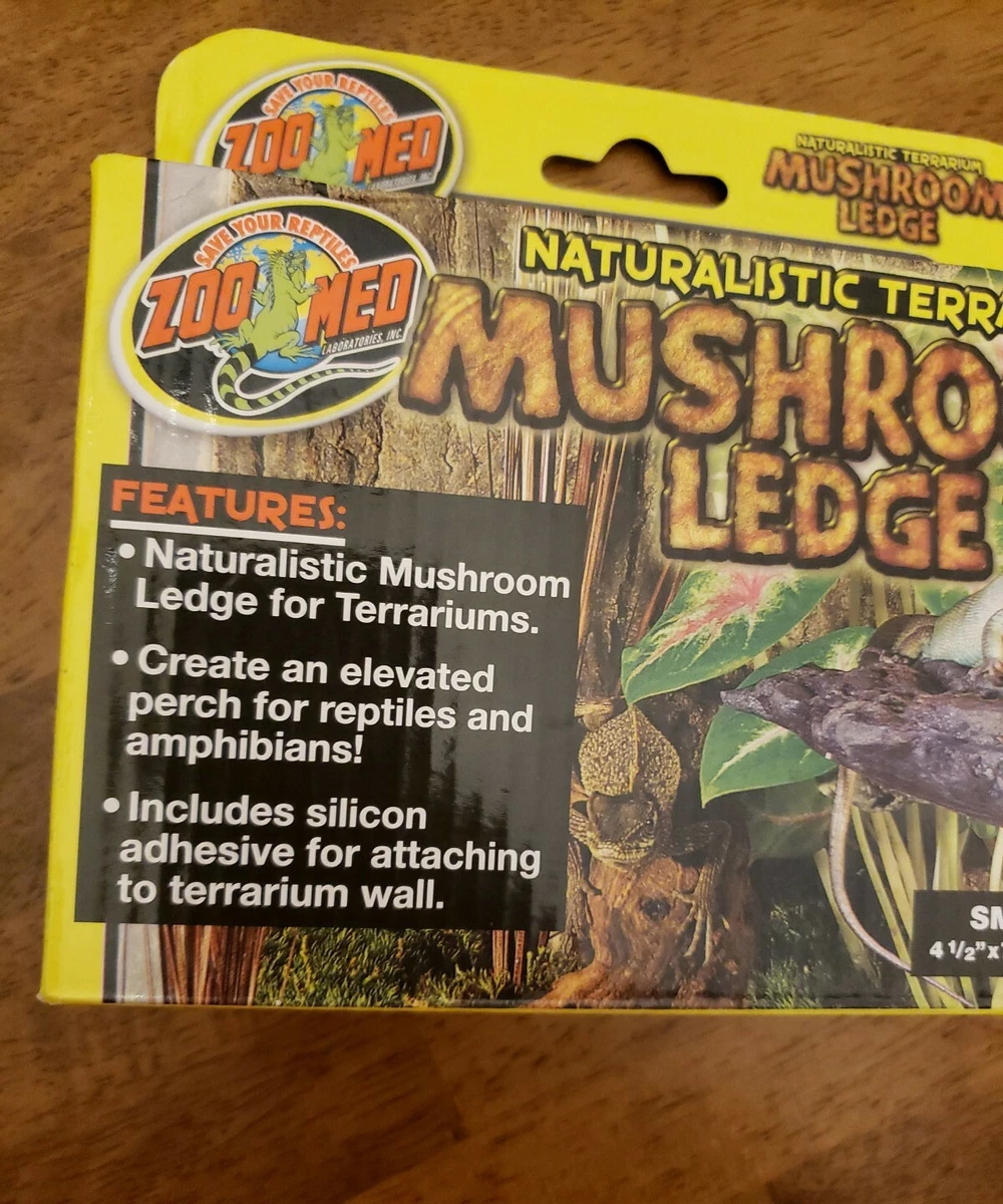 Zoo med top small terrarium