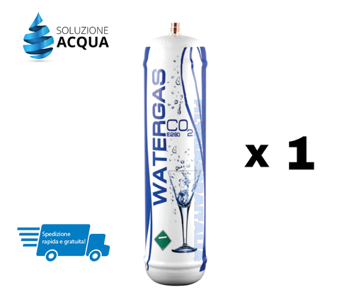 Bombola CO2 Usa E Getta 600g Per Gasatore Acqua Frizzante - Attacco M11x1, Acciaio