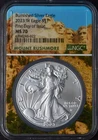 2023-W Burnished American Silver Eagle NGC MS70 FDOI Mount Rushmore ✪COINGIANTS✪